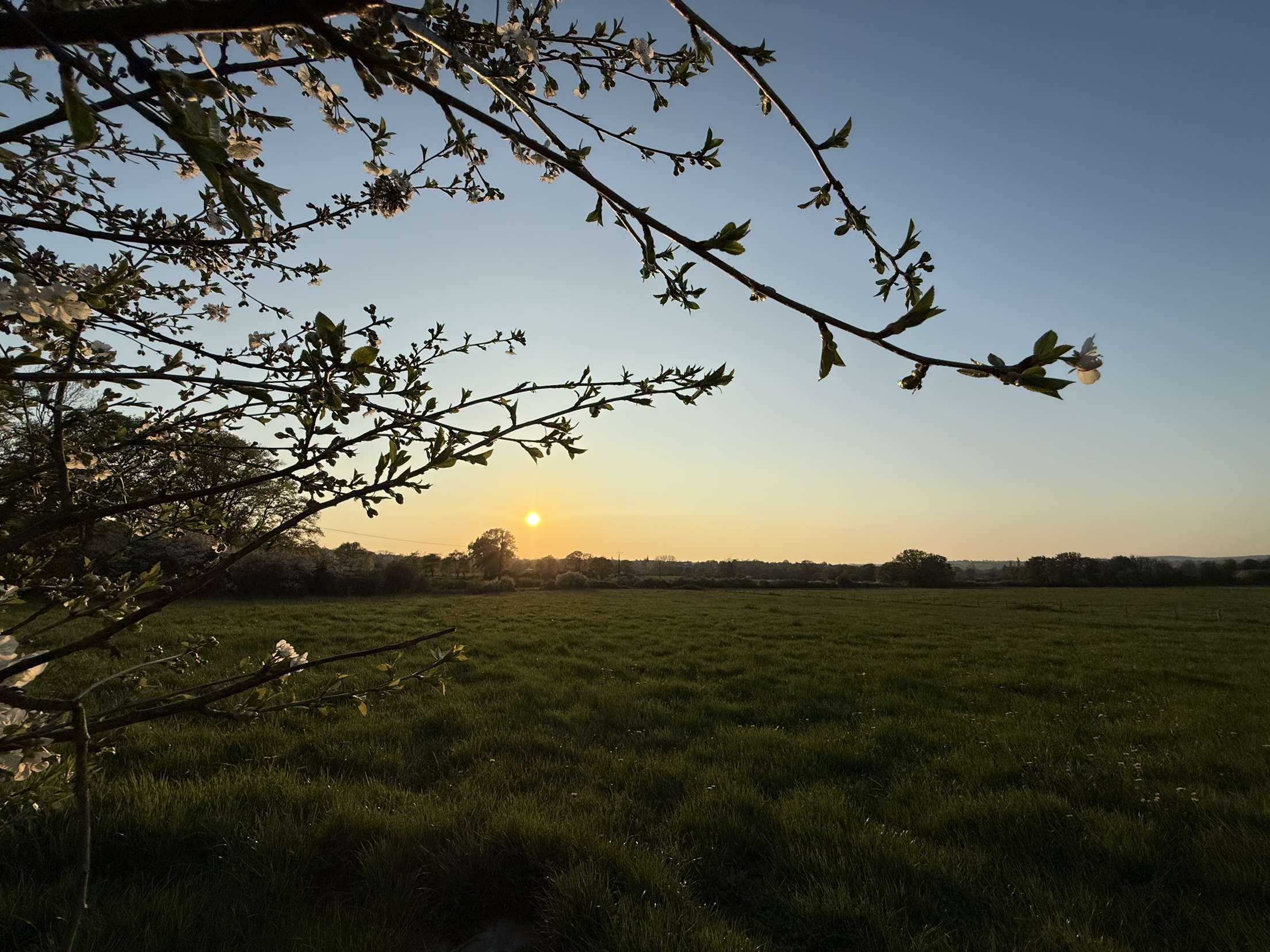Vue panoramique de la prairie 1.4 hectare de terrain au gîte au coucher du soleil, calme en extérieurs et nature.