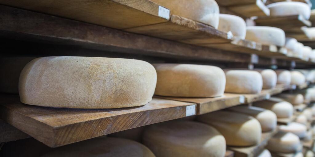 à proximité Mayenne gastronomie fromage tourisme